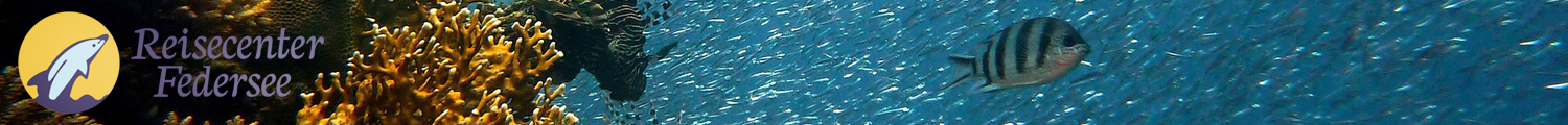 Reisecenter Federsee