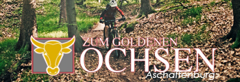 Hotel zum goldenen Ochsen