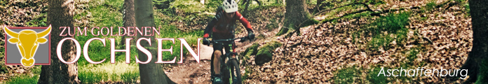 Hotel zum goldenen Ochsen